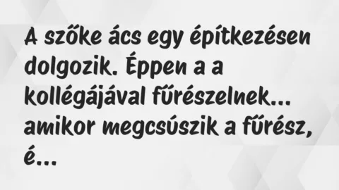 Vicc: A szőke ács egy építkezésen dolgozik. Éppen a a kollégájával…