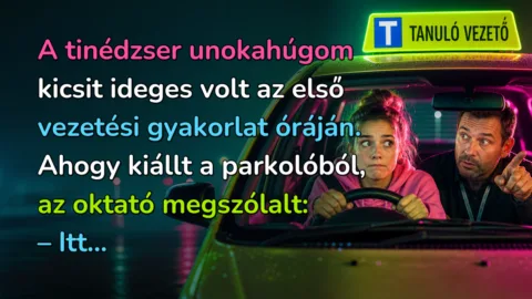 A tinédzser unokahúgom kicsit ideges volt az első vezetési gyakorlat óráján. Ahogy kiállt a parkolóból, az oktató megszólalt: – Itt...