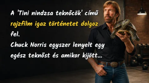A 'Tini nindzsa teknőcök' című rajzfilm igaz történetet dolgoz fel. Chuck Norris egyszer lenyelt egy egész teknőst és amikor kijött...