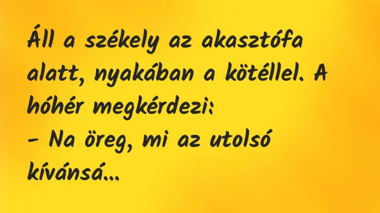 Vicc: Áll a székely az akasztófa alatt, nyakában a kötéllel. A hóhér… Vicc: Áll a székely az akasztófa alatt, nyakában a kötéllel. A hóhér…