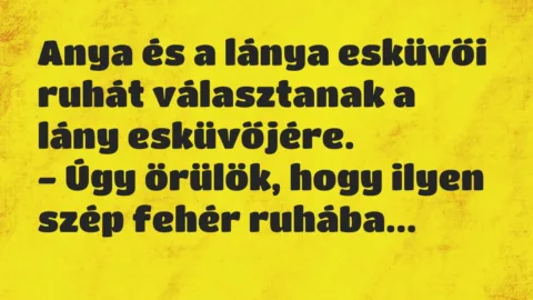 Vicc: Anya és a lánya esküvői ruhát választanak a lány esküvőjére…