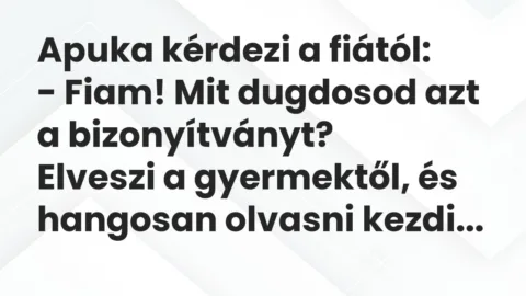 Vicc: Apuka kérdezi a fiától…
