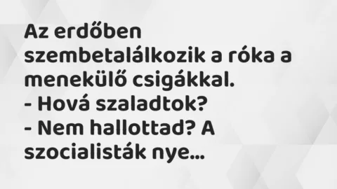 Vicc: Az erdőben szembetalálkozik a róka a menekülő csigákkal…