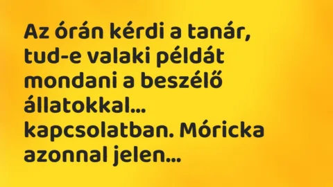 Vicc: Az órán kérdi a tanár, tud-e valaki példát mondani a beszélő állatokkal…