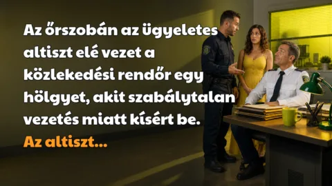 Az őrszobán az ügyeletes altiszt elé vezet a közlekedési rendőr egy hölgyet, akit szabálytalan vezetés miatt kísért be. Az altiszt...