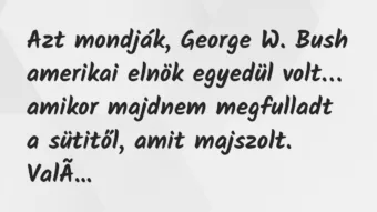 Vicc: Azt mondják, George W. Bush amerikai elnök egyedül volt…