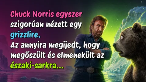 Chuck Norris egyszer szigorúan nézett egy grizzlire. Az annyira megijedt, hogy megőszült és elmenekült az északi-sarkra...