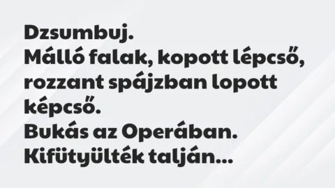 Vicc: Dzsumbuj…