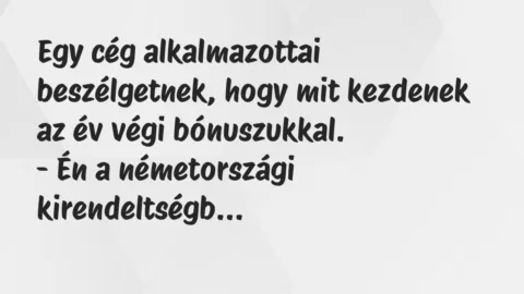 Vicc: Egy cég alkalmazottai beszélgetnek, hogy mit kezdenek az év végi…