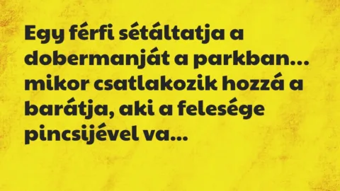 Vicc: Egy férfi sétáltatja a dobermanját a parkban, mikor csatlakozik hozzá…