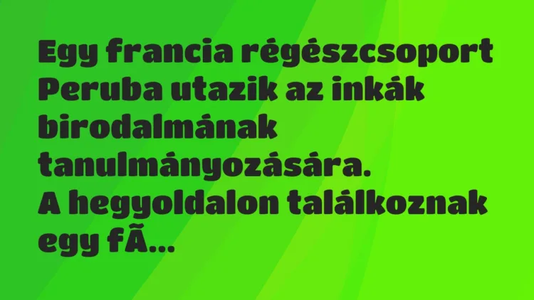 Vicc: Egy francia régészcsoport Peruba utazik az inkák birodalmának… Vicc: Egy francia régészcsoport Peruba utazik az inkák birodalmának…