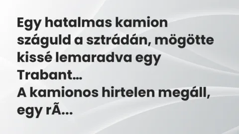 Vicc: Egy hatalmas kamion száguld a sztrádán, mögötte kissé lemaradva… Vicc: Egy hatalmas kamion száguld a sztrádán, mögötte kissé lemaradva…