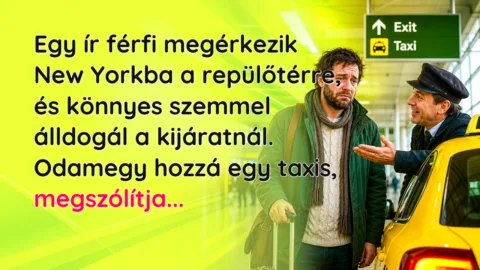 Egy ír férfi megérkezik New Yorkba a repülőtérre, és könnyes szemmel álldogál a kijáratnál. Odamegy hozzá egy taxis, megszólítja...