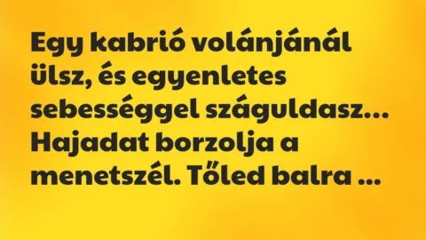 Vicc: Egy kabrió volánjánál ülsz, és egyenletes sebességgel száguldasz…