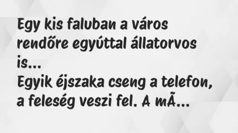 Vicc: Egy kis faluban a város rendőre egyúttal állatorvos…