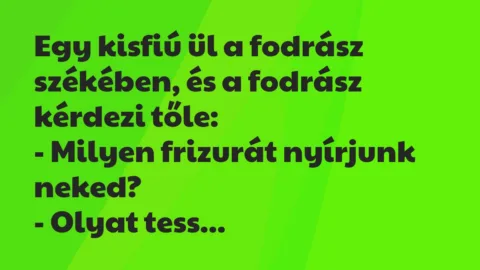 Vicc: Egy kisfiú ül a fodrász székében, és a fodrász kérdezi tőle…