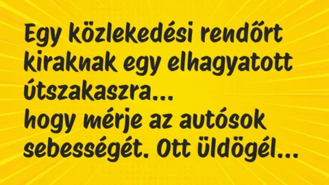 Vicc: Egy közlekedési rendőrt kiraknak egy elhagyatott útszakaszra…