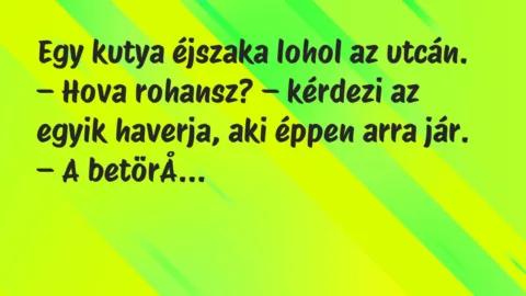 Vicc: Egy kutya éjszaka lohol az utcán…