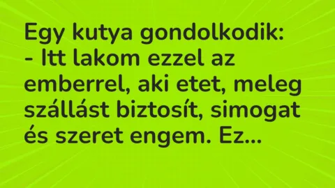 Vicc: Egy kutya gondolkodik…