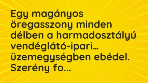 Vicc: Egy magányos öregasszony minden délben a harmadosztályú…