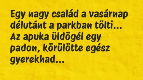 Vicc: Egy nagy család a vasárnap délutánt a parkban tölti. Az apuka üldögél…