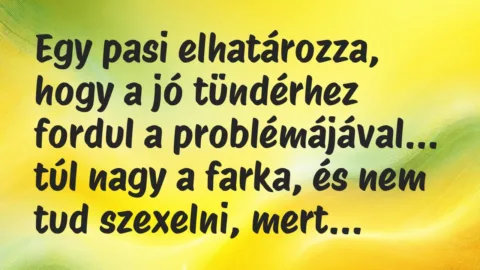 Vicc: Egy pasi elhatározza, hogy a jó tündérhez fordul a problémájával…