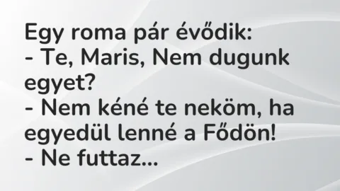 Vicc: Egy roma pár évődik…