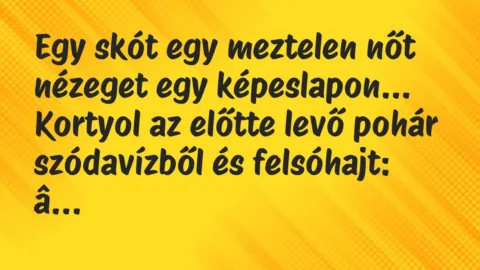 Vicc: Egy skót egy meztelen nőt nézeget egy képeslapon. Kortyol az előtte…