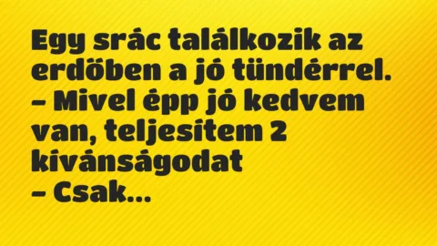 Vicc: Egy srác találkozik az erdőben a jó tündérrel…