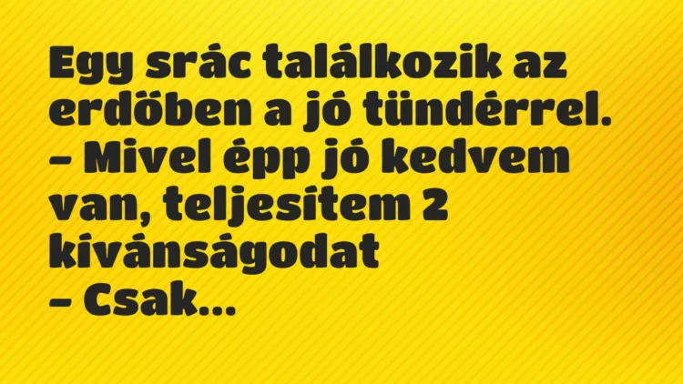 Vicc: Egy srác találkozik az erdőben a jó tündérrel… Vicc: Egy srác találkozik az erdőben a jó tündérrel…