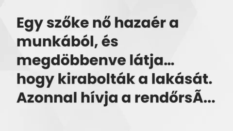 Vicc: Egy szőke nő hazaér a munkából, és megdöbbenve látja, hogy kirabolták…