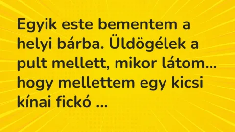 Vicc: Egyik este bementem a helyi bárba. Üldögélek a pult mellett, mikor…