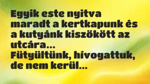 Vicc: Egyik este nyitva maradt a kertkapunk és a kutyánk kiszökött az utcára…