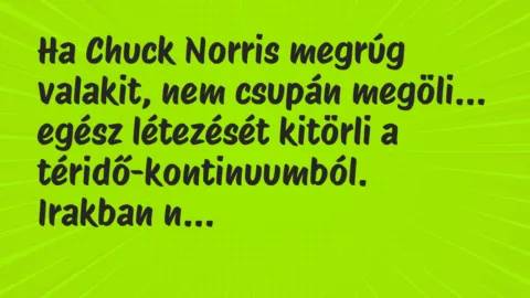 Vicc: Ha Chuck Norris megrúg valakit, nem csupán megöli, egész létezését…