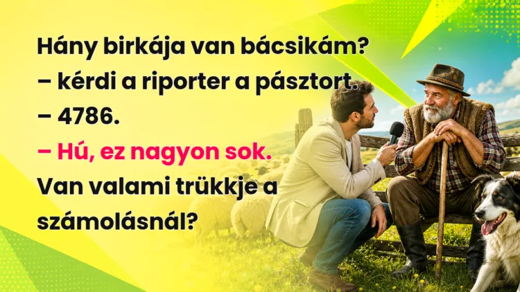Vicc: Hány birkája van bácsikám? - kérdi a riporter a pásztort... Hány birkája van bácsikám? – kérdi a riporter a pásztort. – 4786. – Hú, ez nagyon sok. Van valami trükkje a számolásnál?