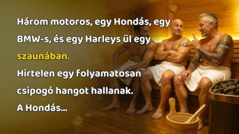 Vicc: Három motoros, egy Hondás, egy BMW-s, és egy Harleys ül egy szaunában... Három motoros, egy Hondás, egy BMW-s, és egy Harleys ül egy szaunában. Hirtelen egy folyamatosan csipogó hangot hallanak. A Hondás...