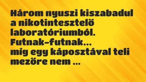 Vicc: Három nyuszi kiszabadul a nikotintesztelő laboratóriumból…