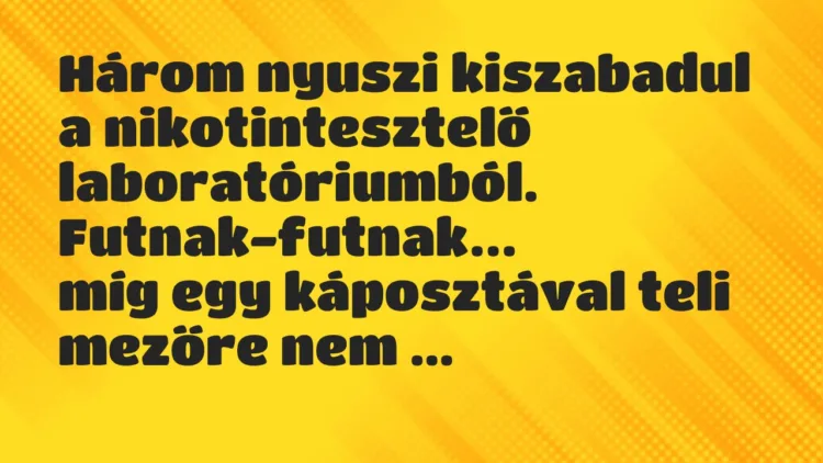 Vicc: Három nyuszi kiszabadul a nikotintesztelő laboratóriumból… Vicc: Három nyuszi kiszabadul a nikotintesztelő laboratóriumból…
