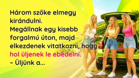 Vicc: Három szőke elmegy kirándulni. Megállnak egy kisebb forgalmú úton... Három szőke elmegy kirándulni. Megállnak egy kisebb forgalmú úton, majd elkezdenek vitatkozni, hogy hol üljenek le ebédelni. – Üljünk a...