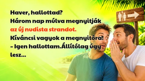 Haver, hallottad? Három nap múlva megnyitják az új nudista strandot. Kíváncsi vagyok a megnyitóra! – Igen hallottam.Állítólag úgy lesz...