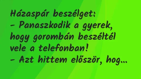 Vicc: Házaspár beszélget…