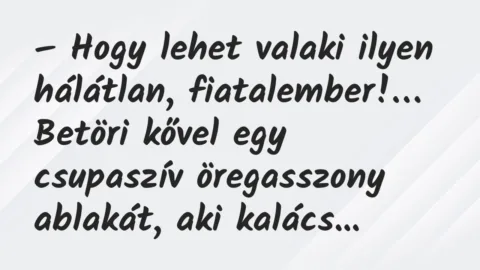 Vicc: Hogy lehet valaki ilyen hálátlan, fiatalember! Betöri kővel…