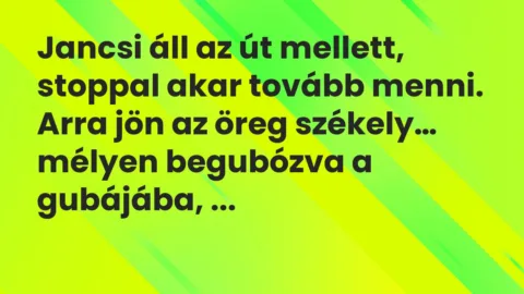 Vicc: Jancsi áll az út mellett, stoppal akar tovább menni. Arra jön az öreg… Vicc: Jancsi áll az út mellett, stoppal akar tovább menni. Arra jön az öreg…