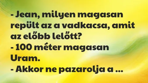 Vicc: Jean, milyen magasan repült az a vadkacsa, amit az előbb lelőtt? Vicc: Jean, milyen magasan repült az a vadkacsa, amit az előbb lelőtt?