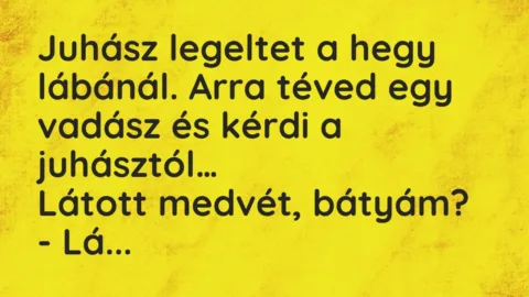 Vicc: Juhász legeltet a hegy lábánál. Arra téved egy vadász és kérdi…