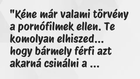 Vicc: “Kéne már valami törvény a pornófilmek ellen. Te komolyan elhiszed…