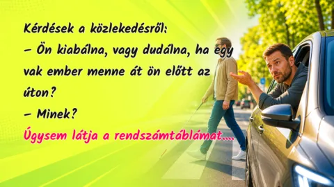 Kérdések a közlekedésről: – Ön kiabálna, vagy dudálna, ha egy vak ember menne át ön előtt az úton? – Minek? Úgysem látja a rendszámtáblámat....
