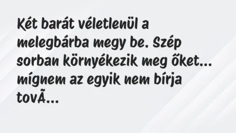 Vicc: Két barát véletlenül a melegbárba megy be. Szép sorban környékezik meg…