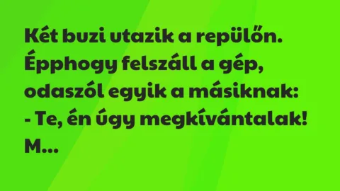Vicc: Két buzi utazik a repülőn. Épphogy felszáll a gép, odaszól egyik…
