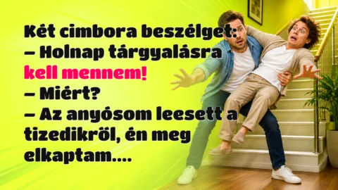 Két cimbora beszélget: – Holnap tárgyalásra kell mennem! – Miért? – Az anyósom leesett a tizedikről, én meg elkaptam....
